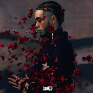 欧美成人做爱视频
